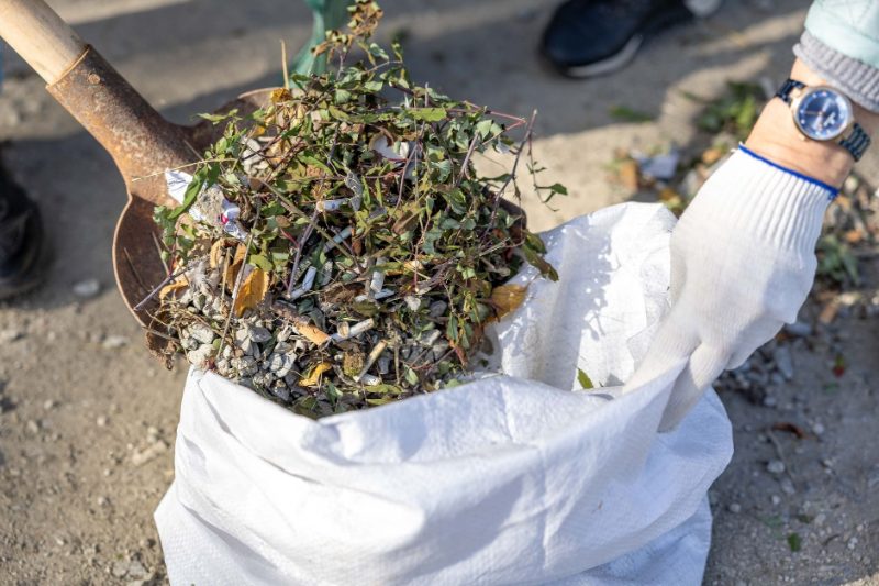 junk removal project in Portland